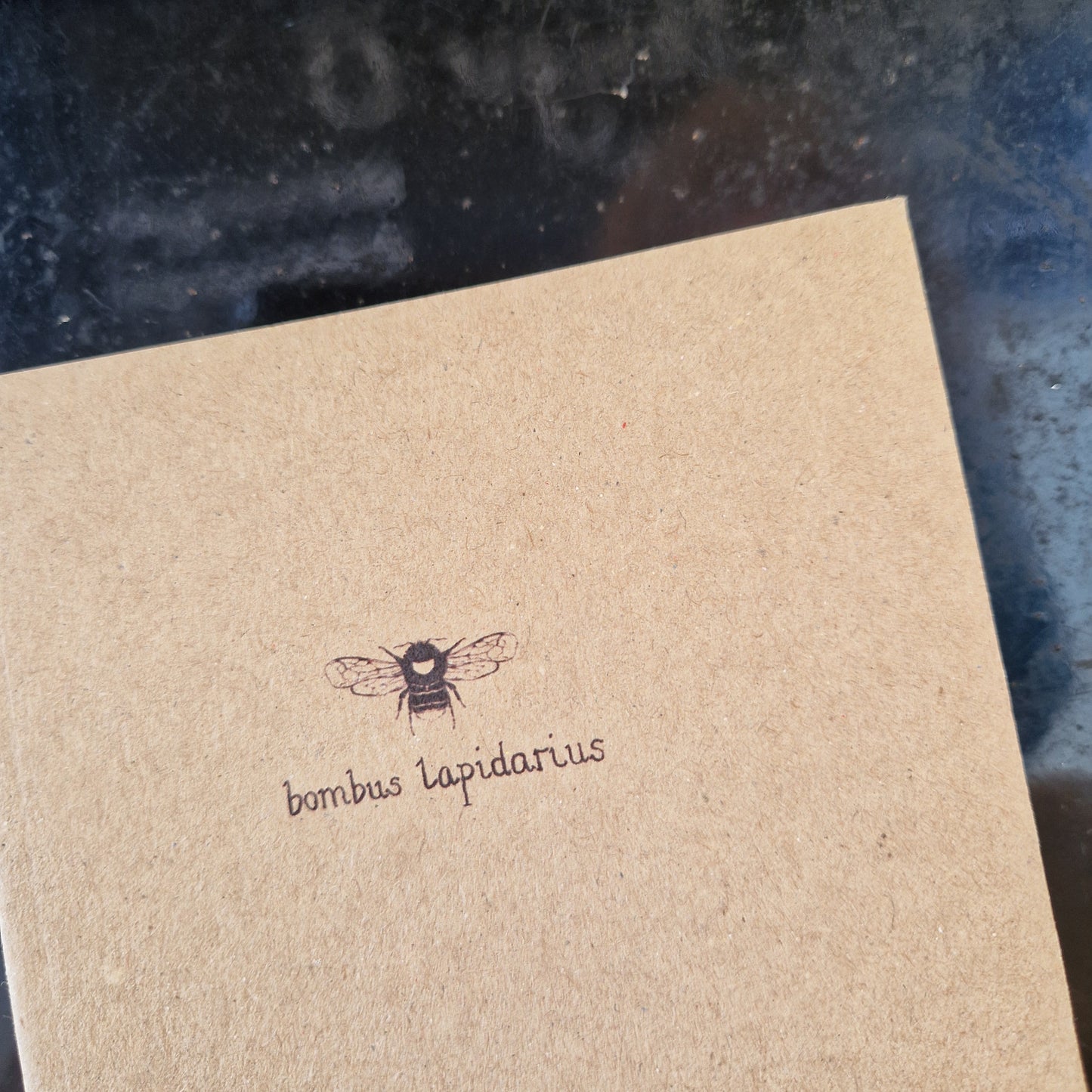 Bombus Lapidarius A6 Notebook