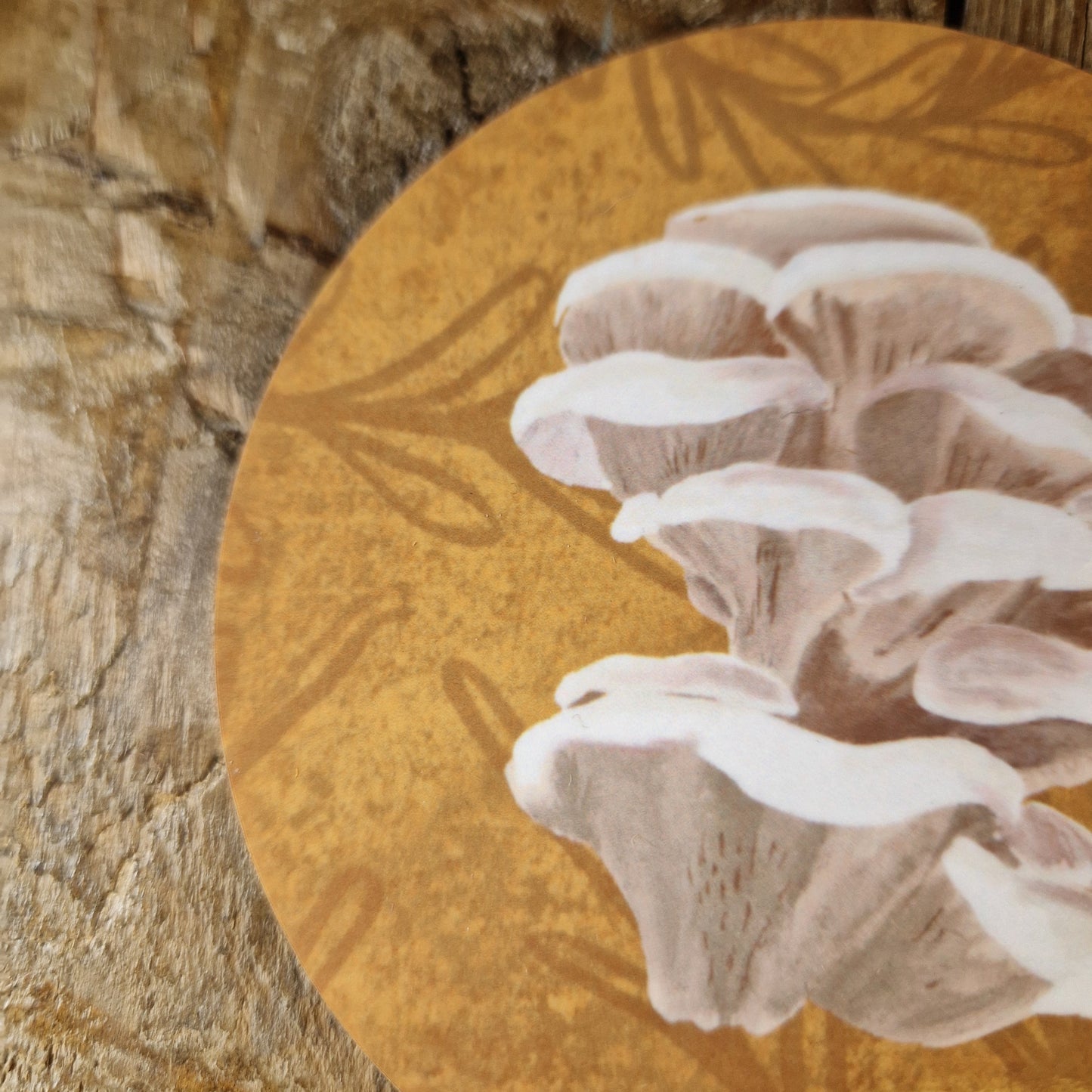 Oyster Mushroom Fungi Coaster