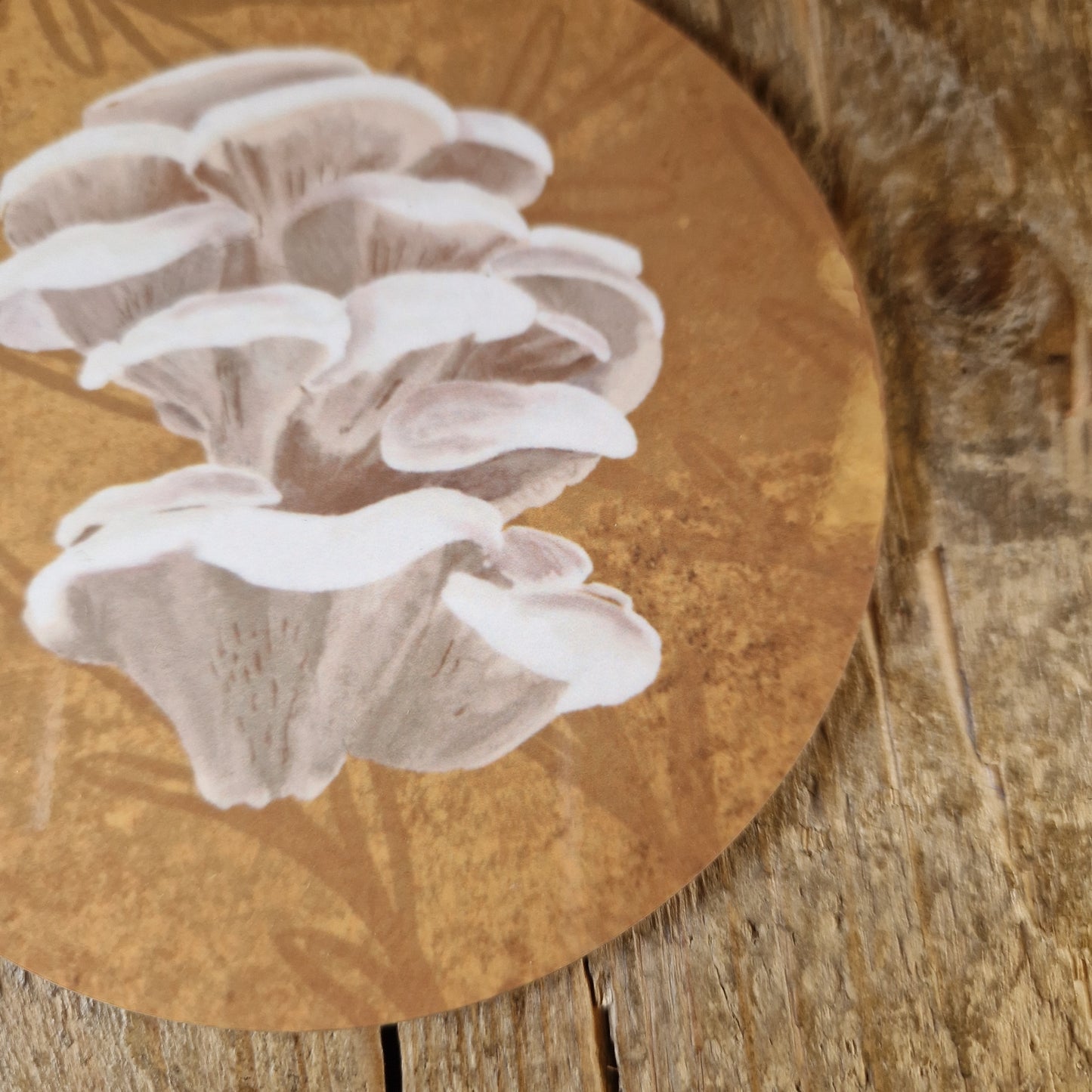 Oyster Mushroom Fungi Coaster