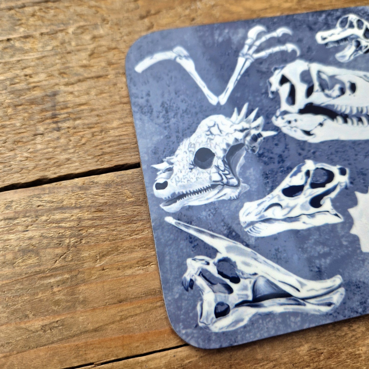 Dinosaur Bones Coaster