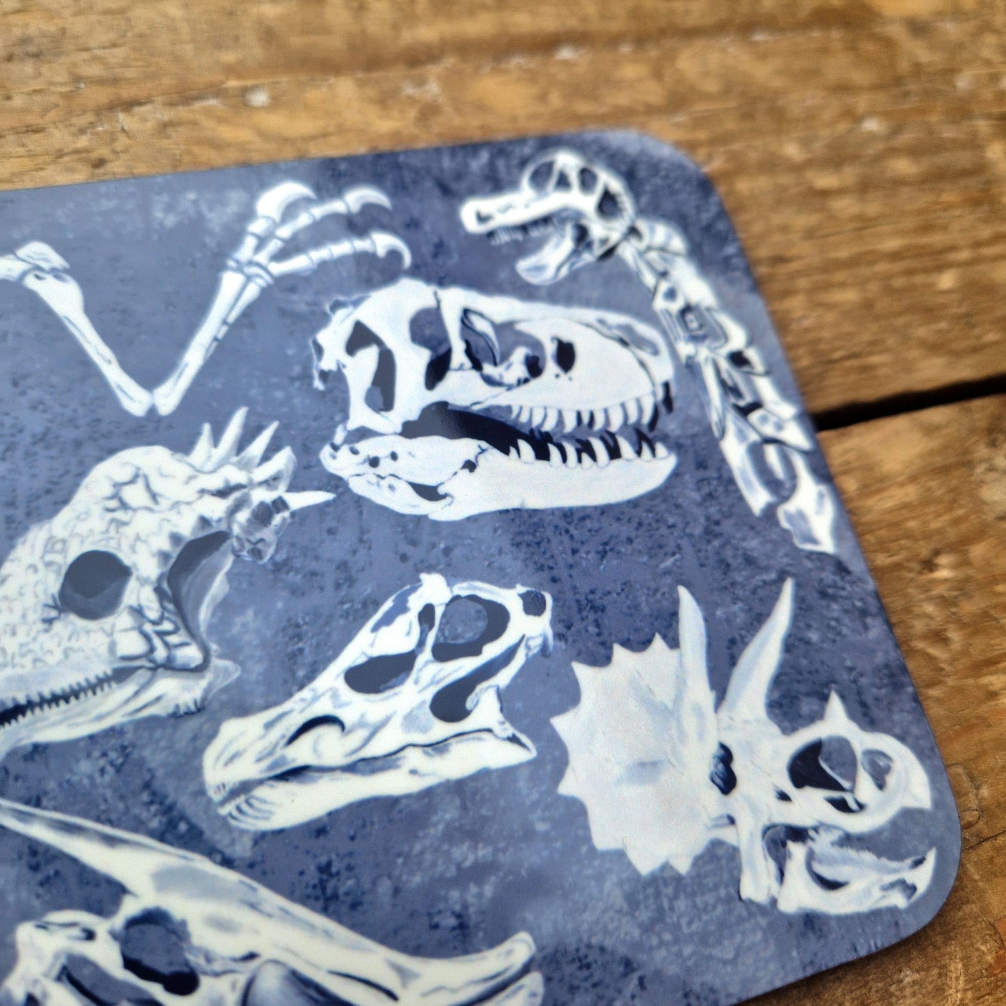 Dinosaur Bones Coaster