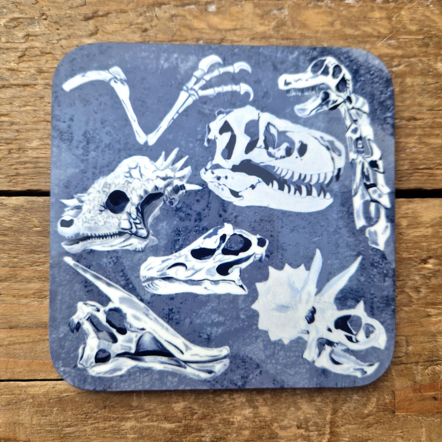 Dinosaur Bones Coaster