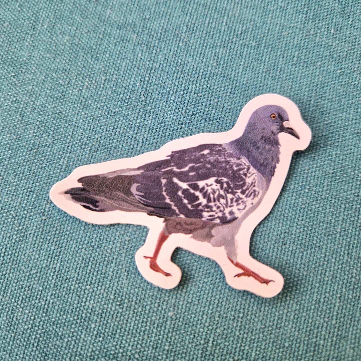 Cyril Pigeon Waterproof Vinyl Sticker