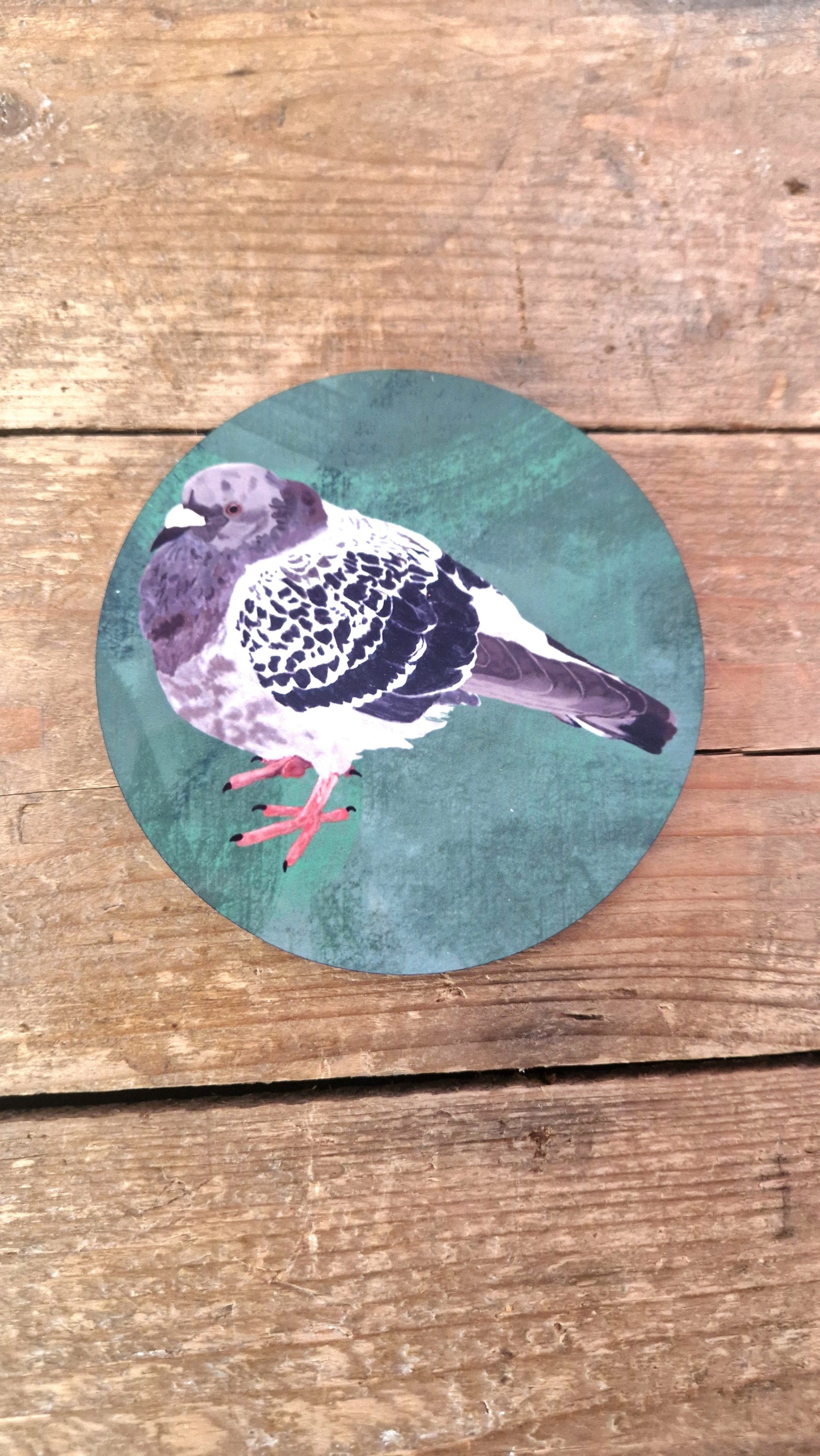 The Bert The Chonky Pigeon Coaster by Duck Egg Designs features a charming pigeon illustration on a green background with cork backing—ideal for adding character to your table or any Cambridge Market treasure.