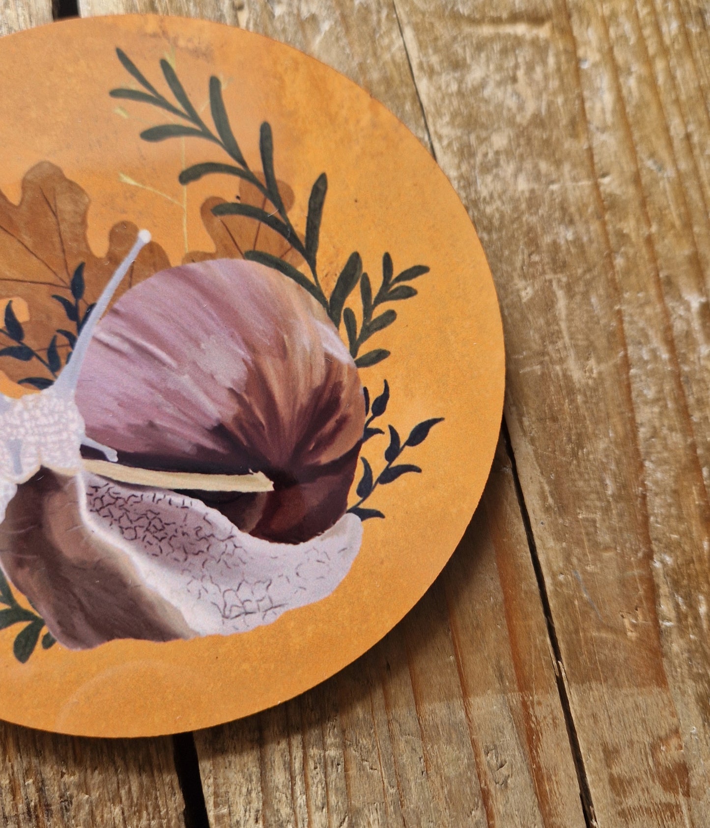Snail Coaster