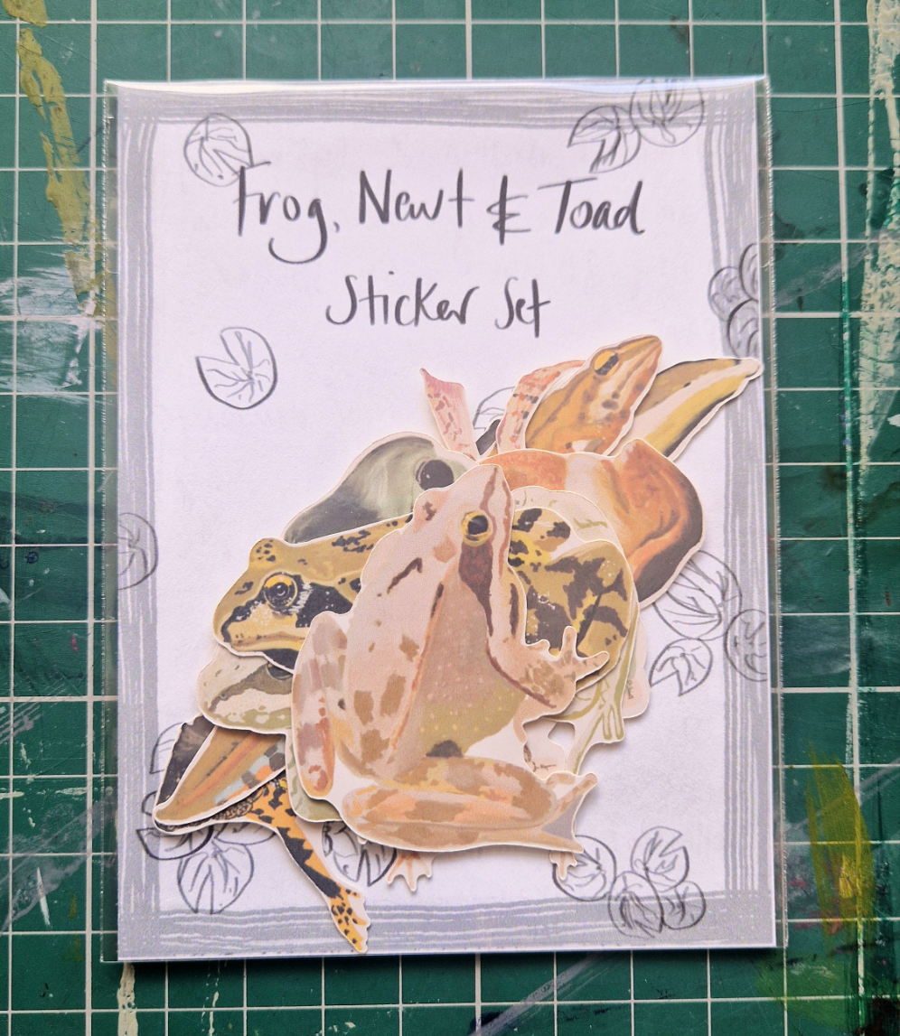 Frog, Newt & Toad Sticker Set