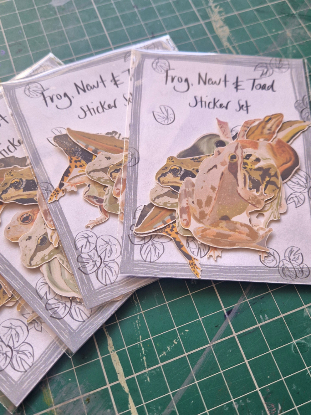 Frog, Newt & Toad Sticker Set