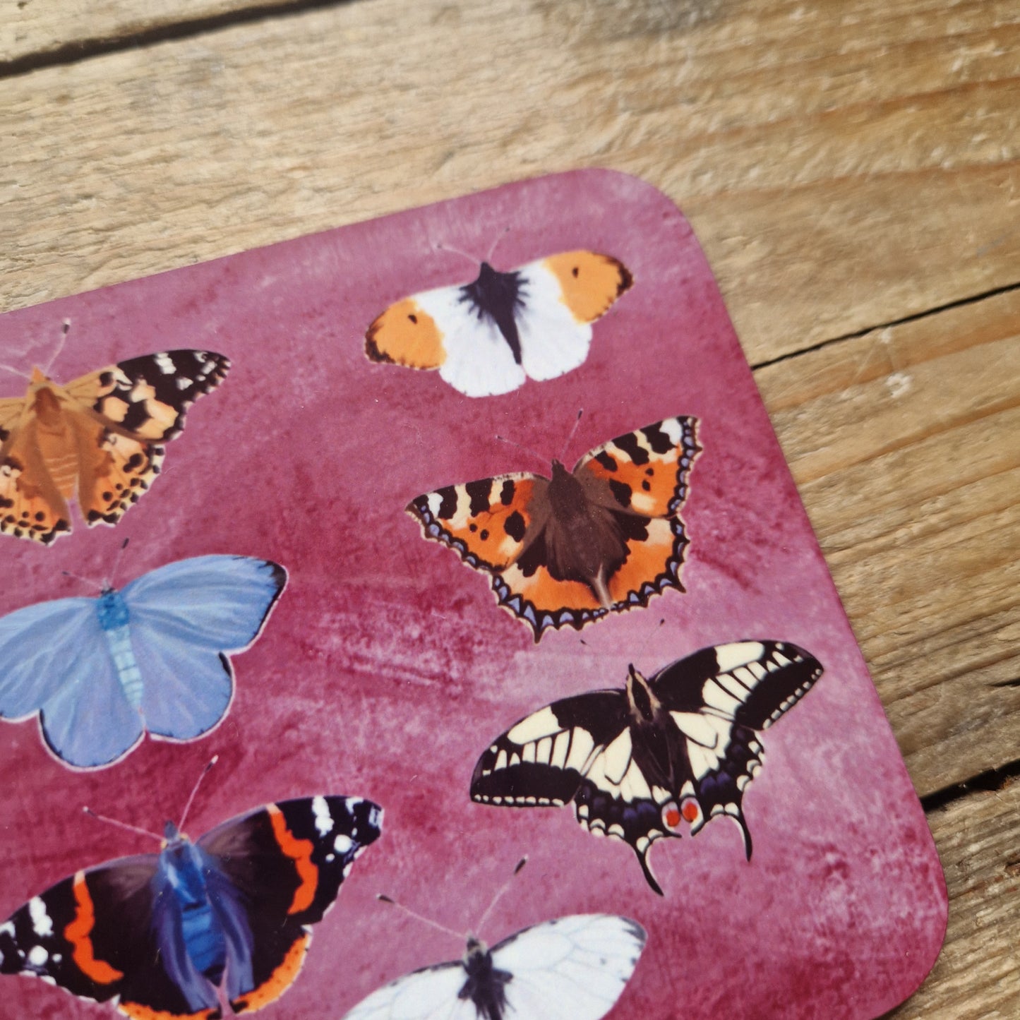 Butterflies Coaster