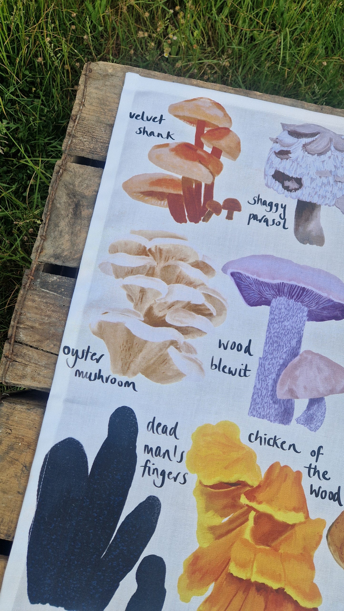 British Fungi Tea Towel