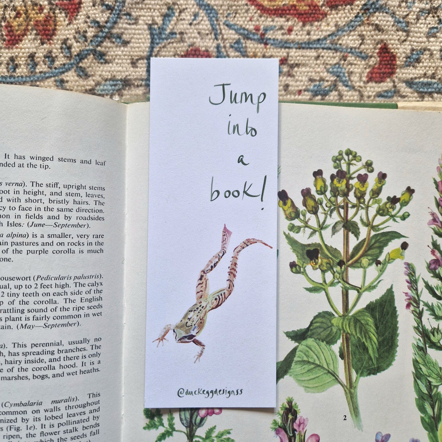 Jump Into A Book Frog Bookmark
