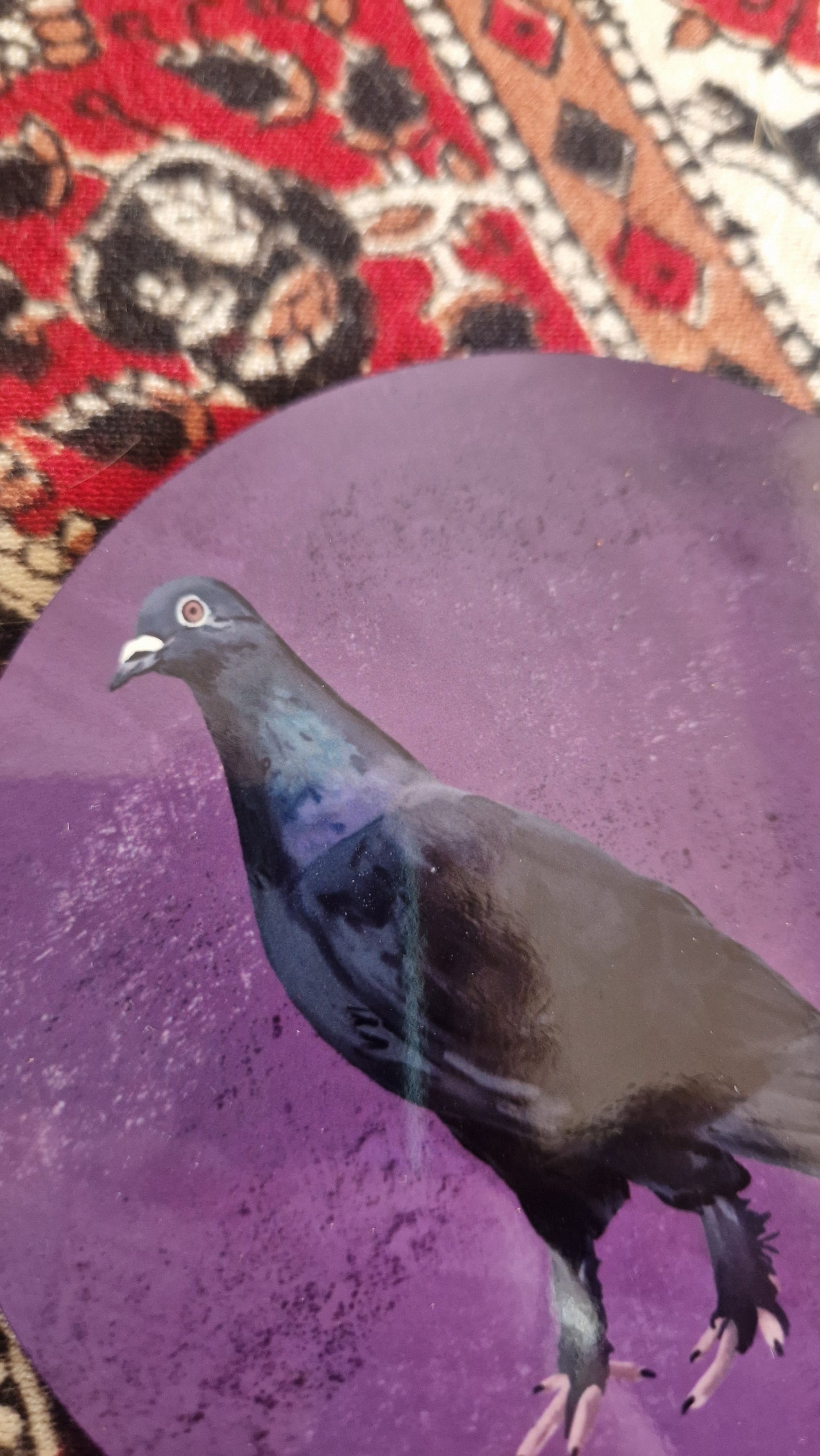 Agatha Goth Pigeon Coaster