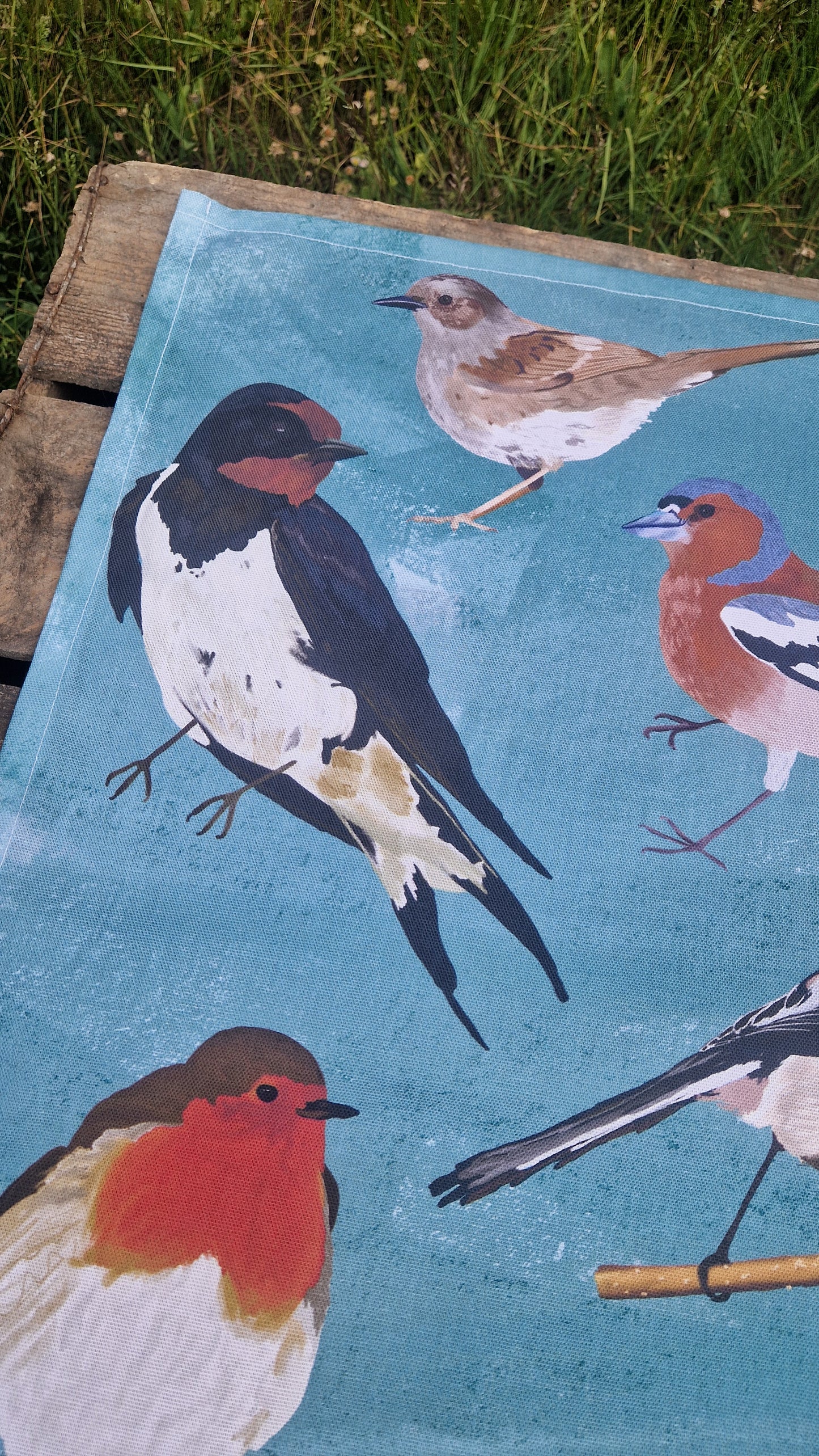 British Birds Teatowel