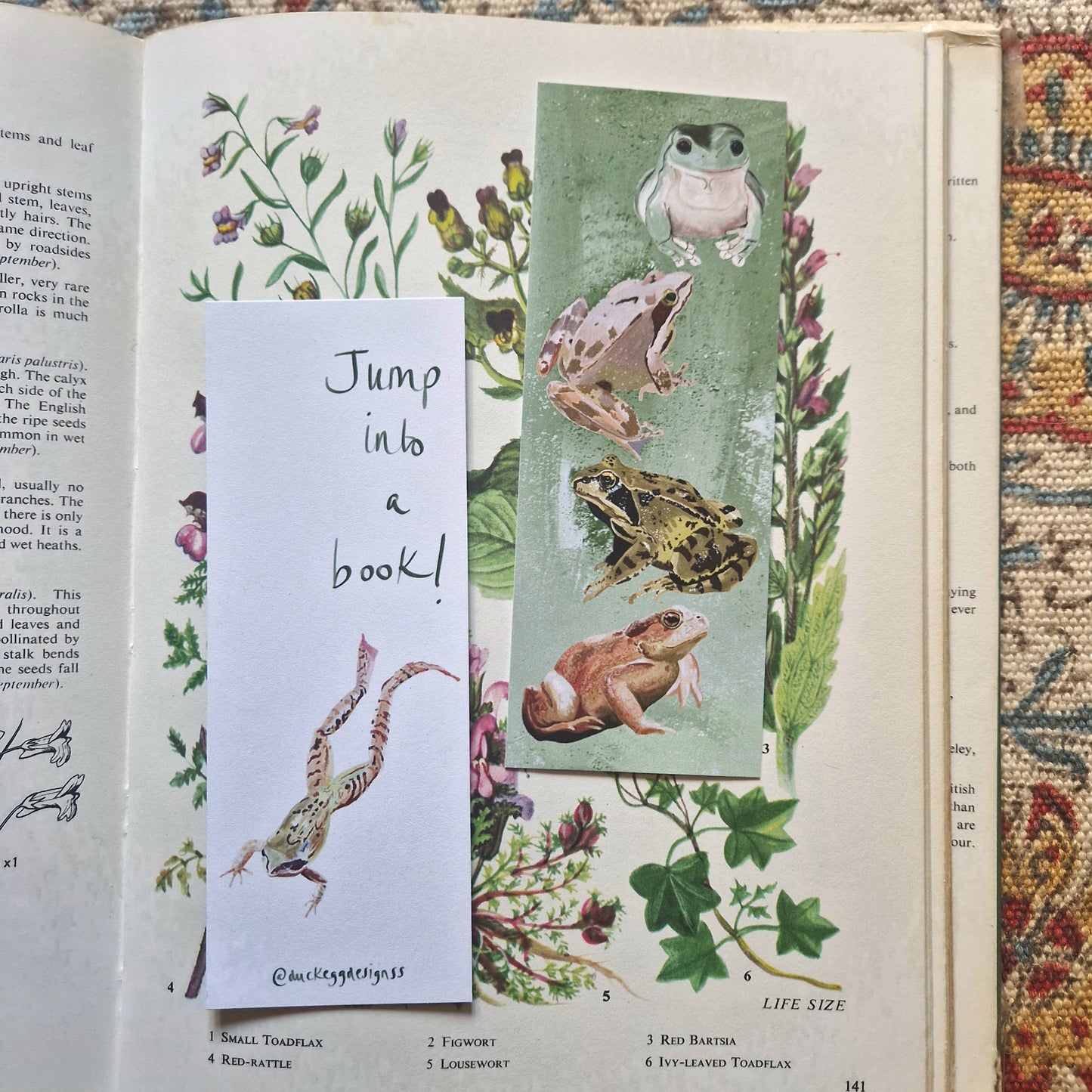 Jump Into A Book Frog Bookmark