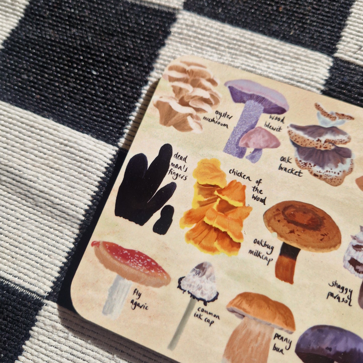 British Fungi Coaster