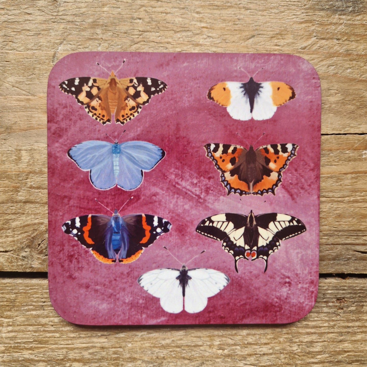 Butterflies Coaster