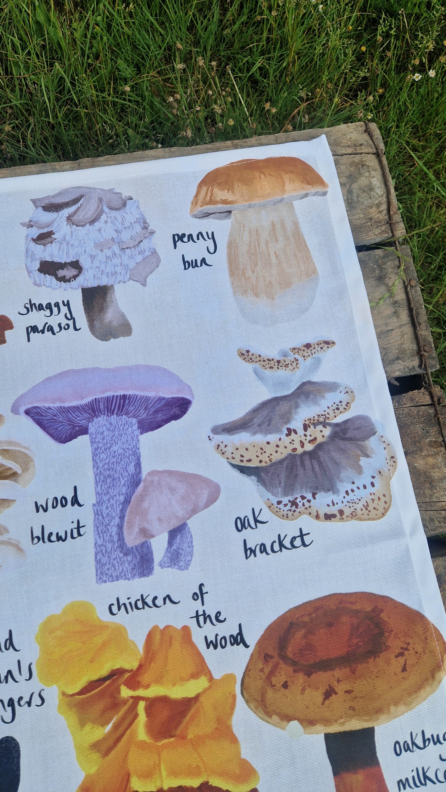 British Fungi Tea Towel