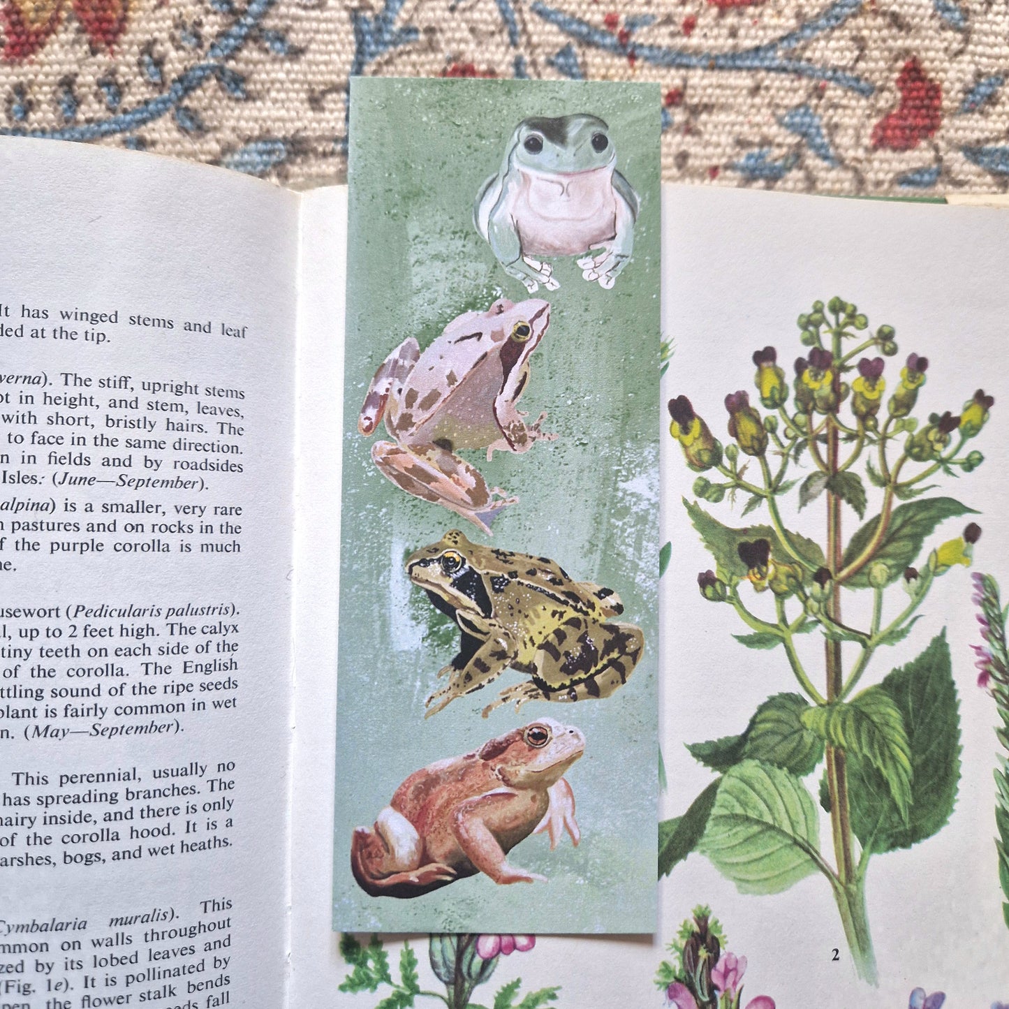 Jump Into A Book Frog Bookmark