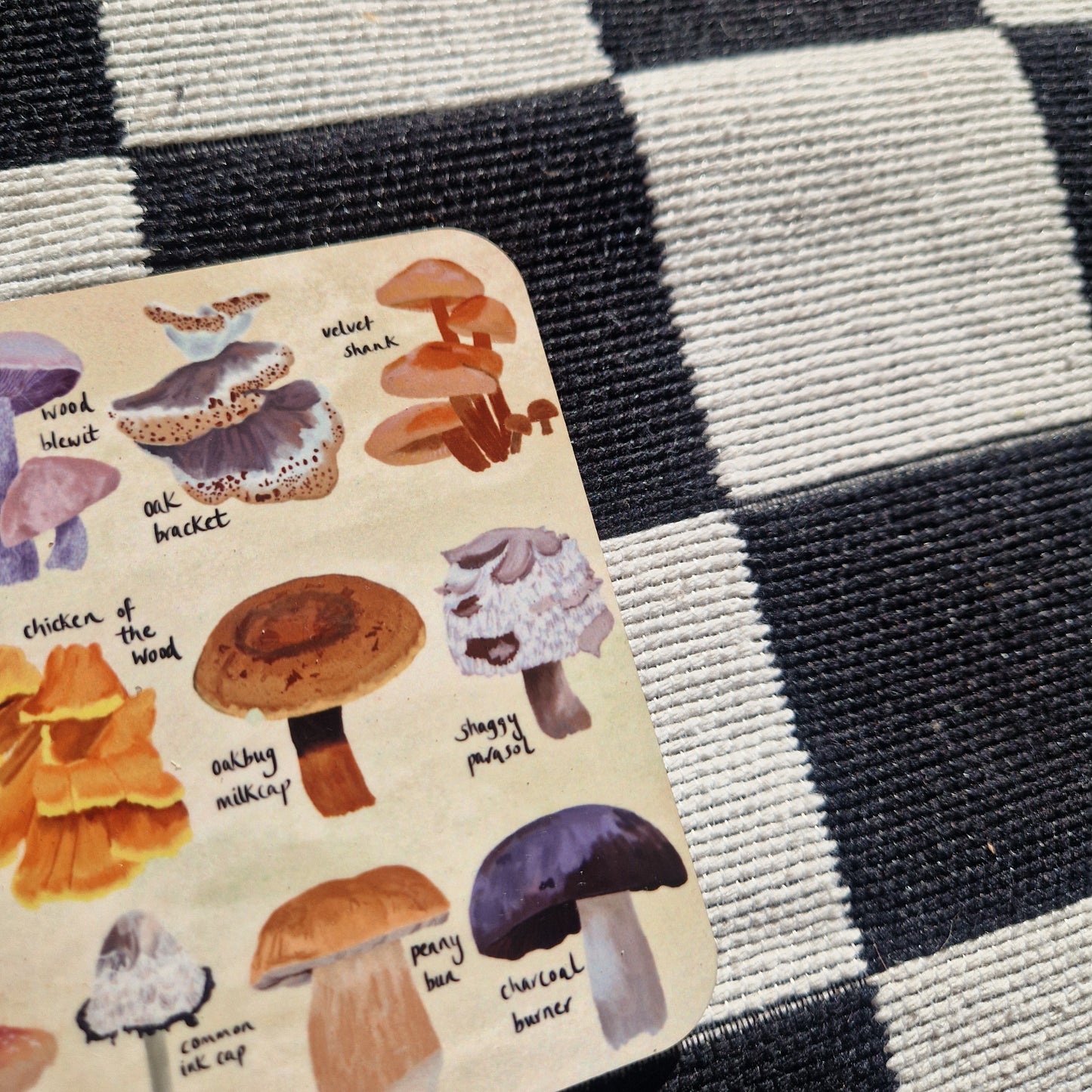 British Fungi Coaster