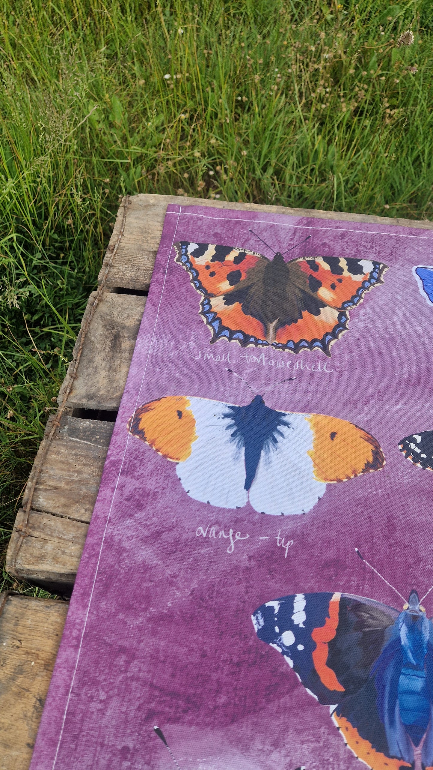 British Butterflies Teatowel