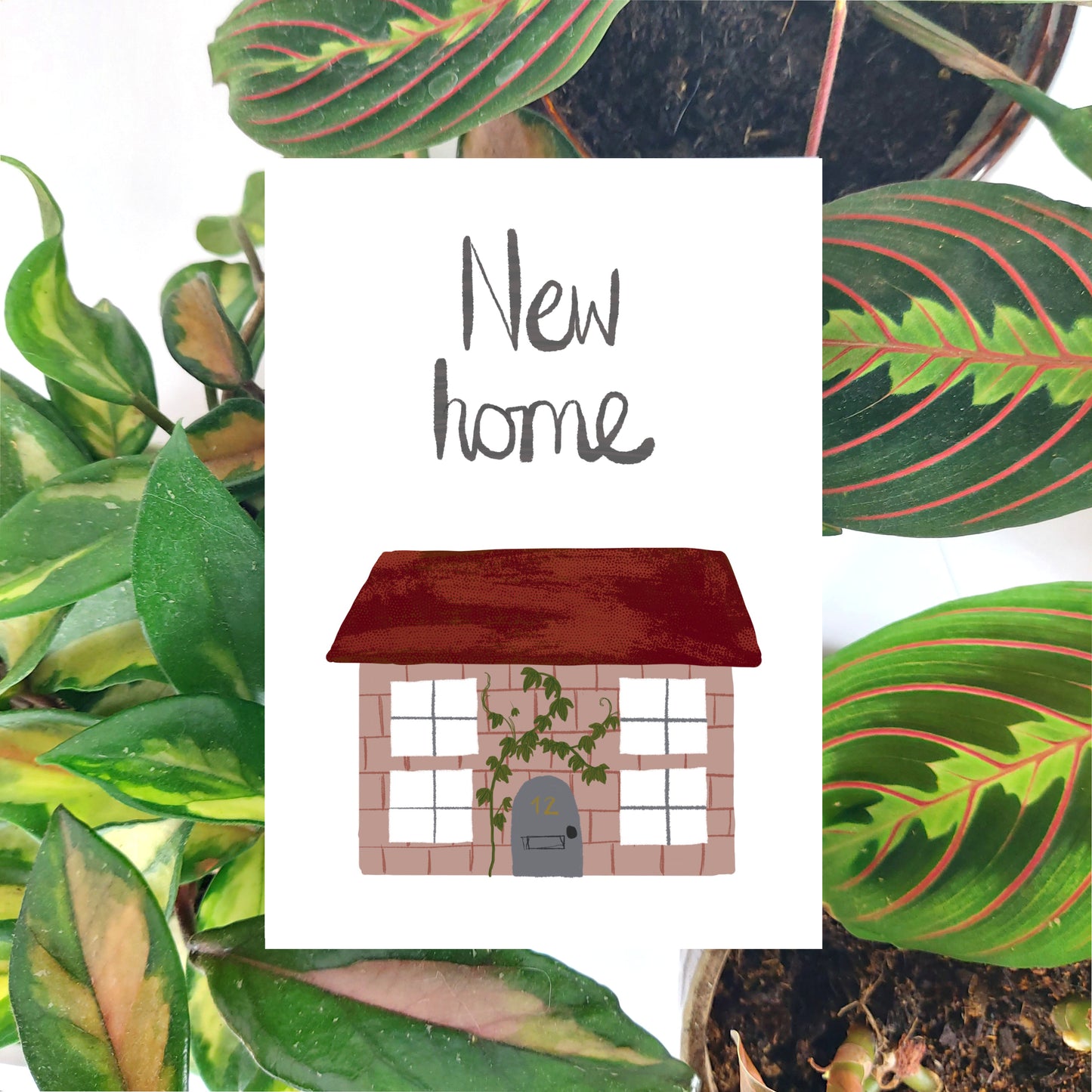 A white card featuring a small pink house with a trailing vine growing up the side, a grey door and a textured red roof. Above the house the words 'New home' are visible in grey in stylised handwriting. Behind the card is a brown envelope, behind which a collection of houseplants on a white background are visible.