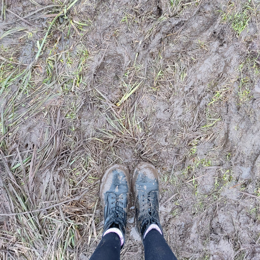 Hello New Year, Muddy Walks and More