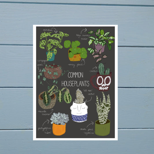 Houseplant Obsession Turned New Design
