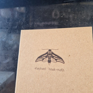 Elephant Hawk-Moth A6 Notebook
