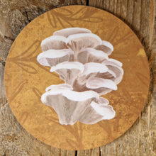 Load image into Gallery viewer, Oyster Mushroom Fungi Coaster

