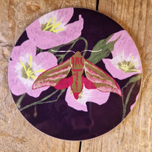 Load image into Gallery viewer, Elephant Hawk Moth Coaster
