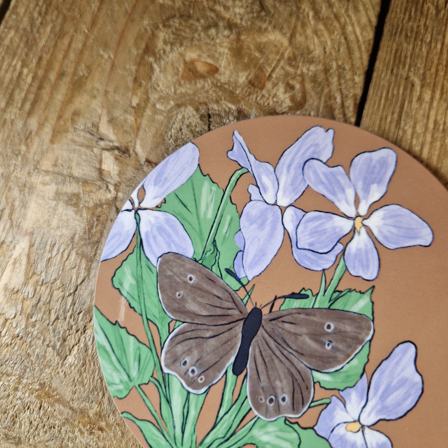 Ringlet Butterfly and Hairy Violet Coaster
