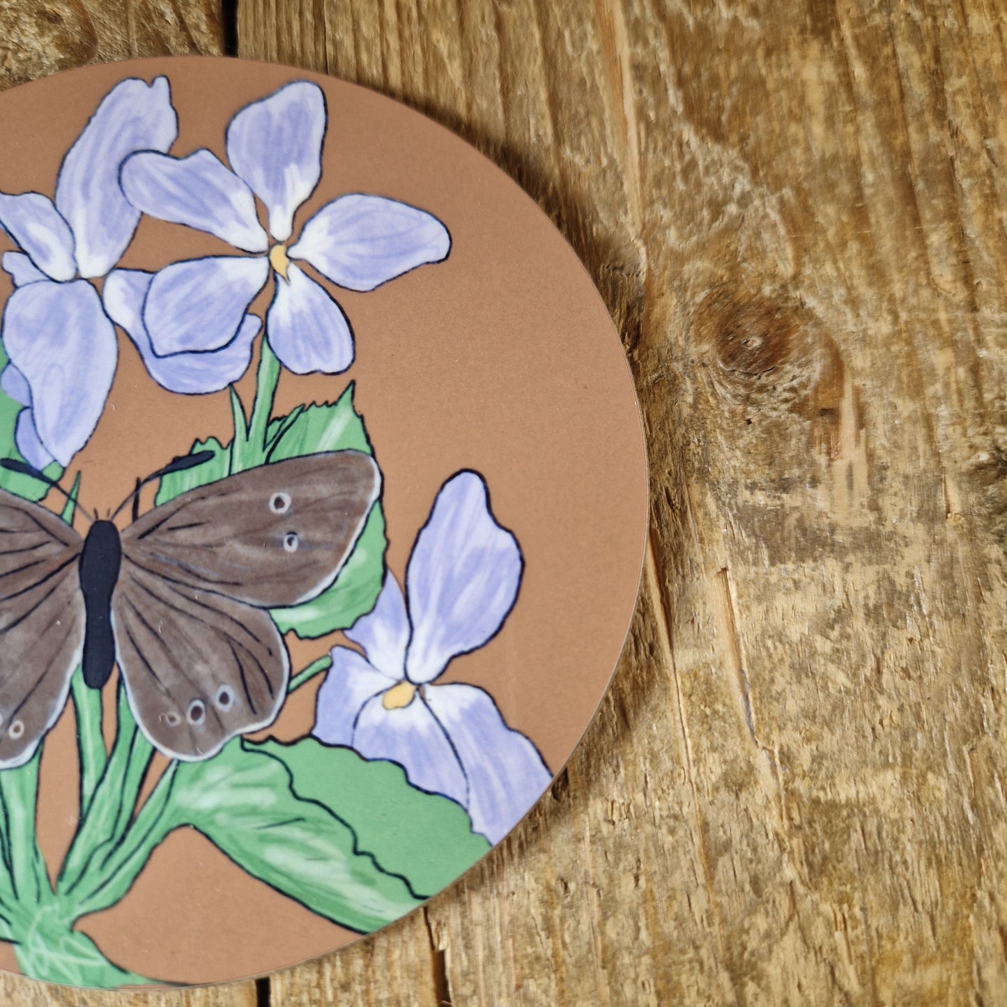 Ringlet Butterfly and Hairy Violet Coaster