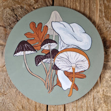 Load image into Gallery viewer, Fungi Coaster Set
