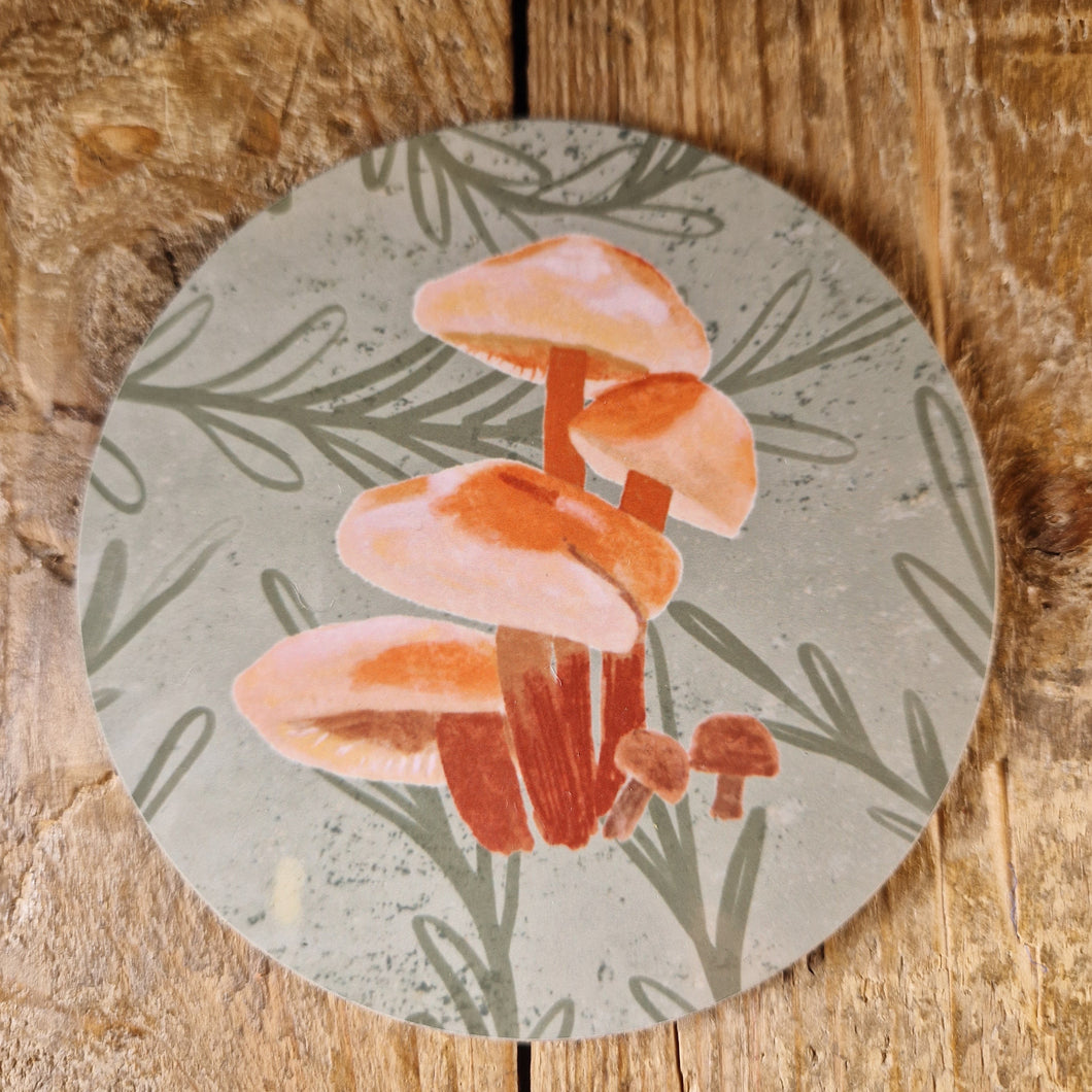 Velvet Shank Fungi Coaster