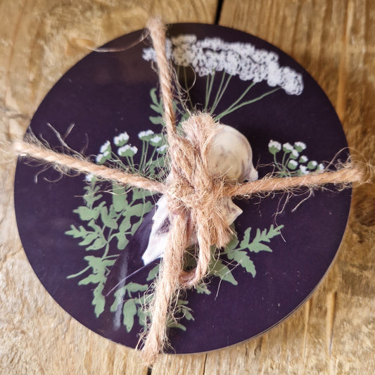 Skull Coaster Set