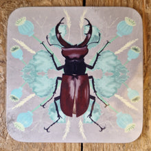 Load image into Gallery viewer, Insect Coaster Set
