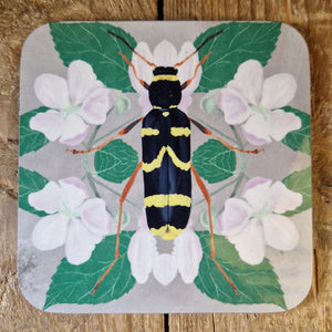 Insect Coaster Set