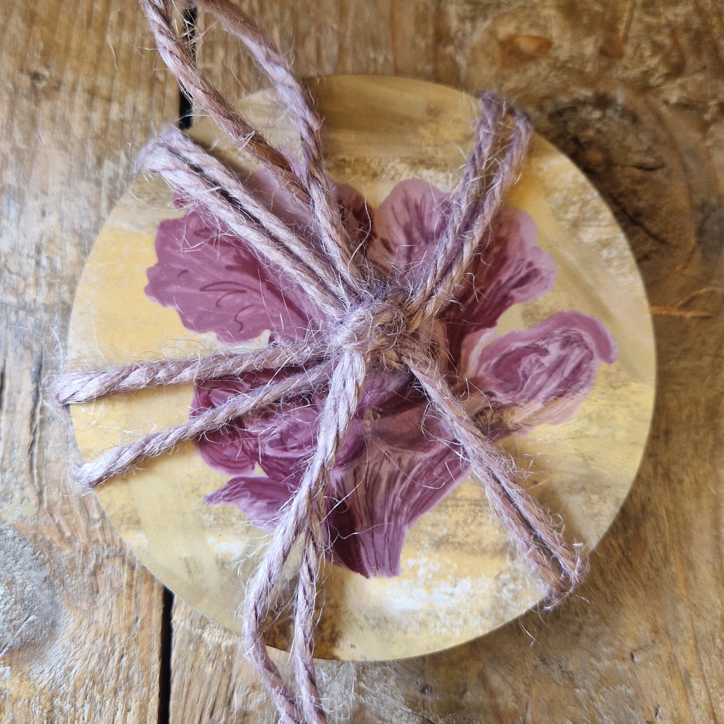 Fungi Coaster Set