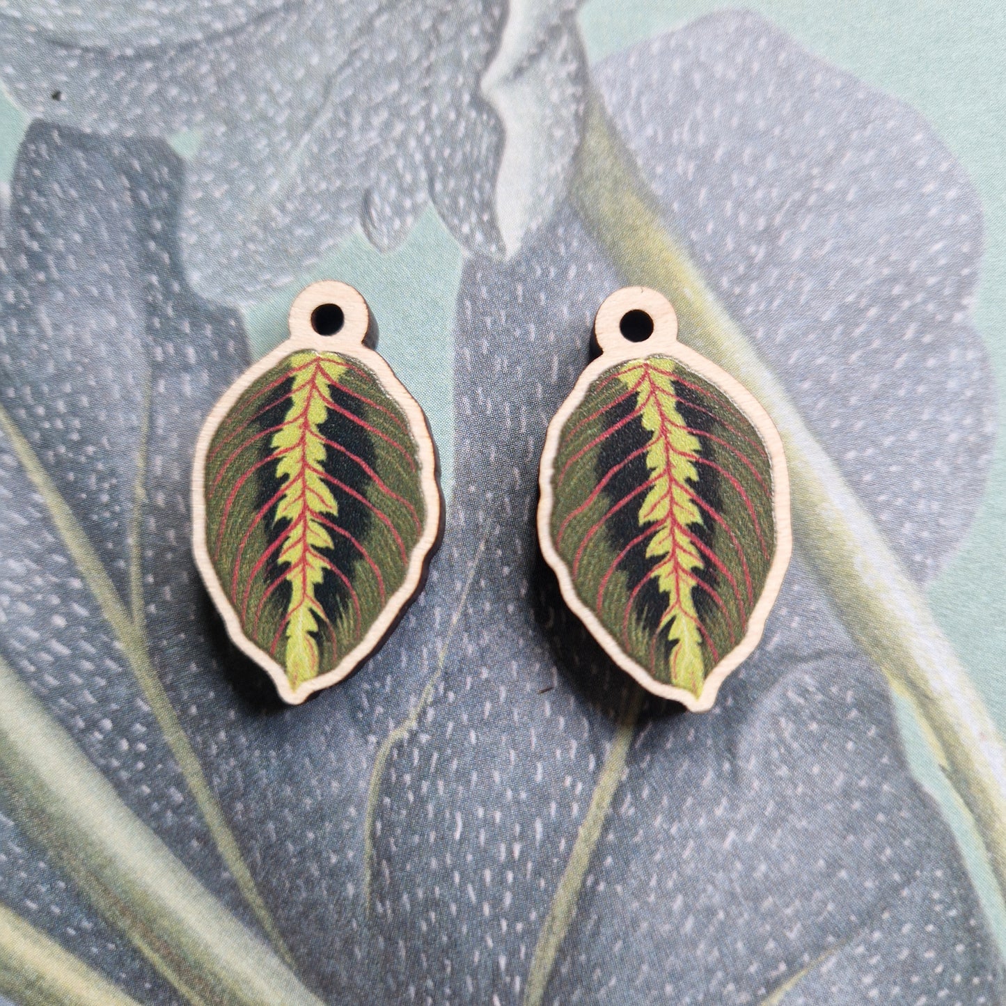 Prayer Plant Earrings