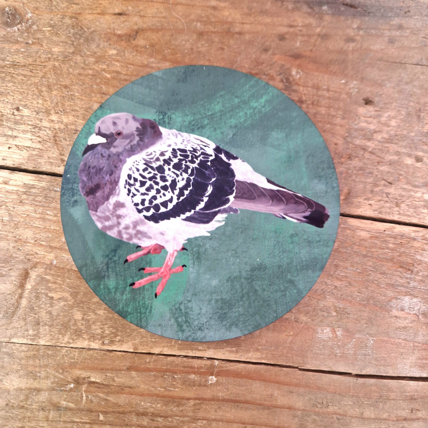 Bert The Chonky Pigeon Coaster