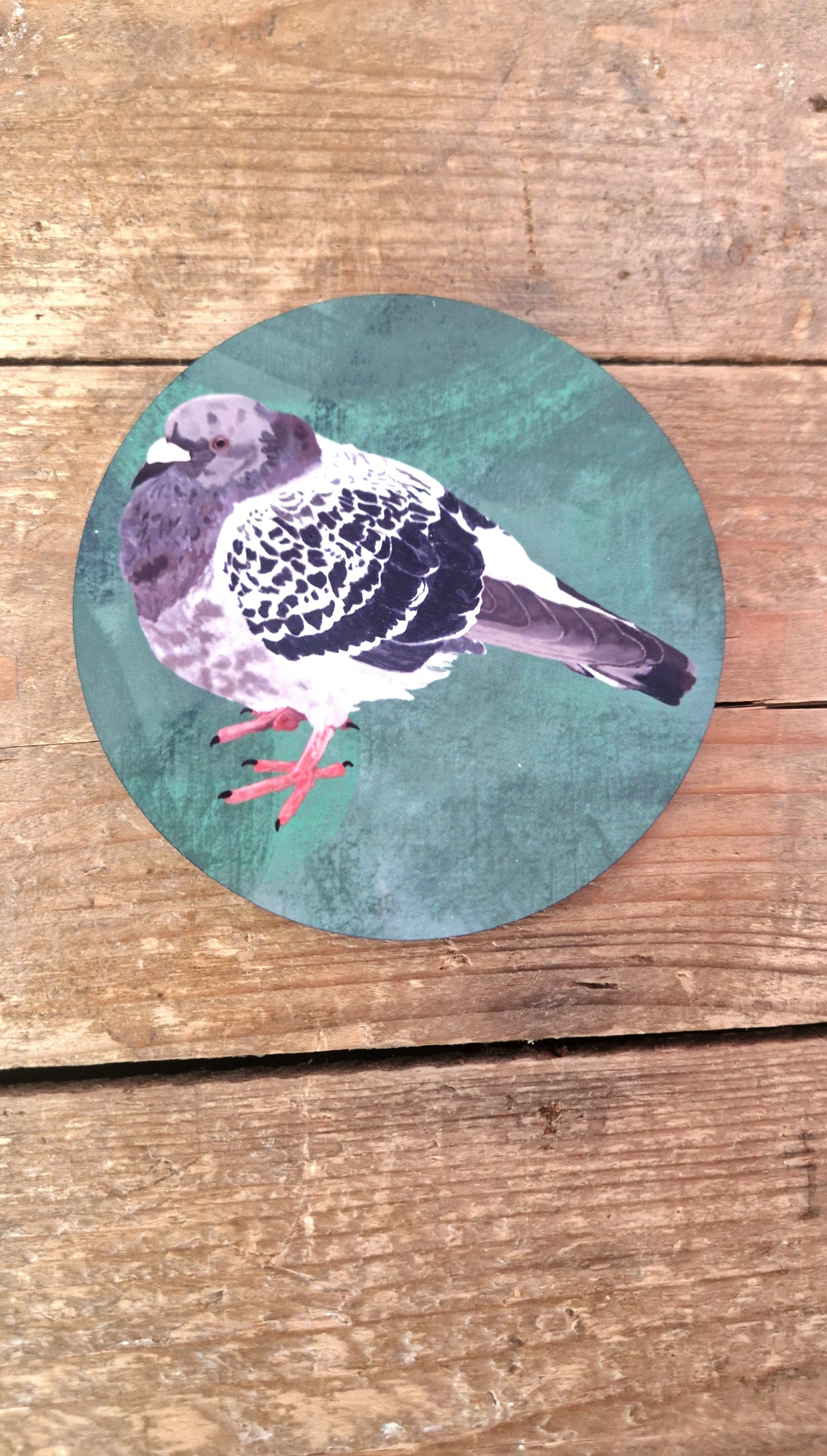 Bert The Chonky Pigeon Coaster