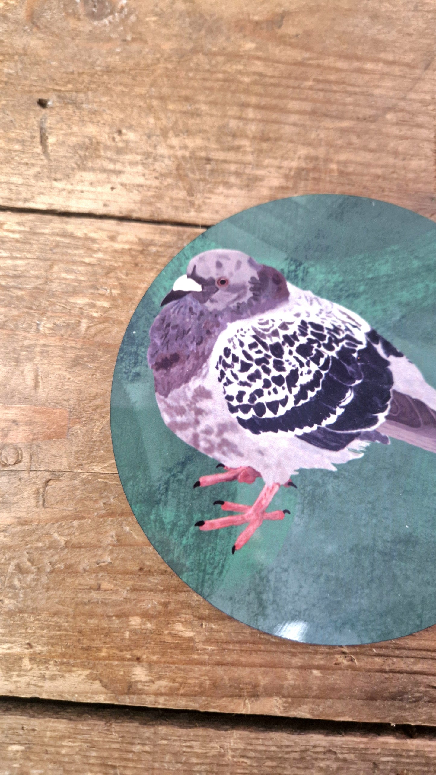 Bert The Chonky Pigeon Coaster