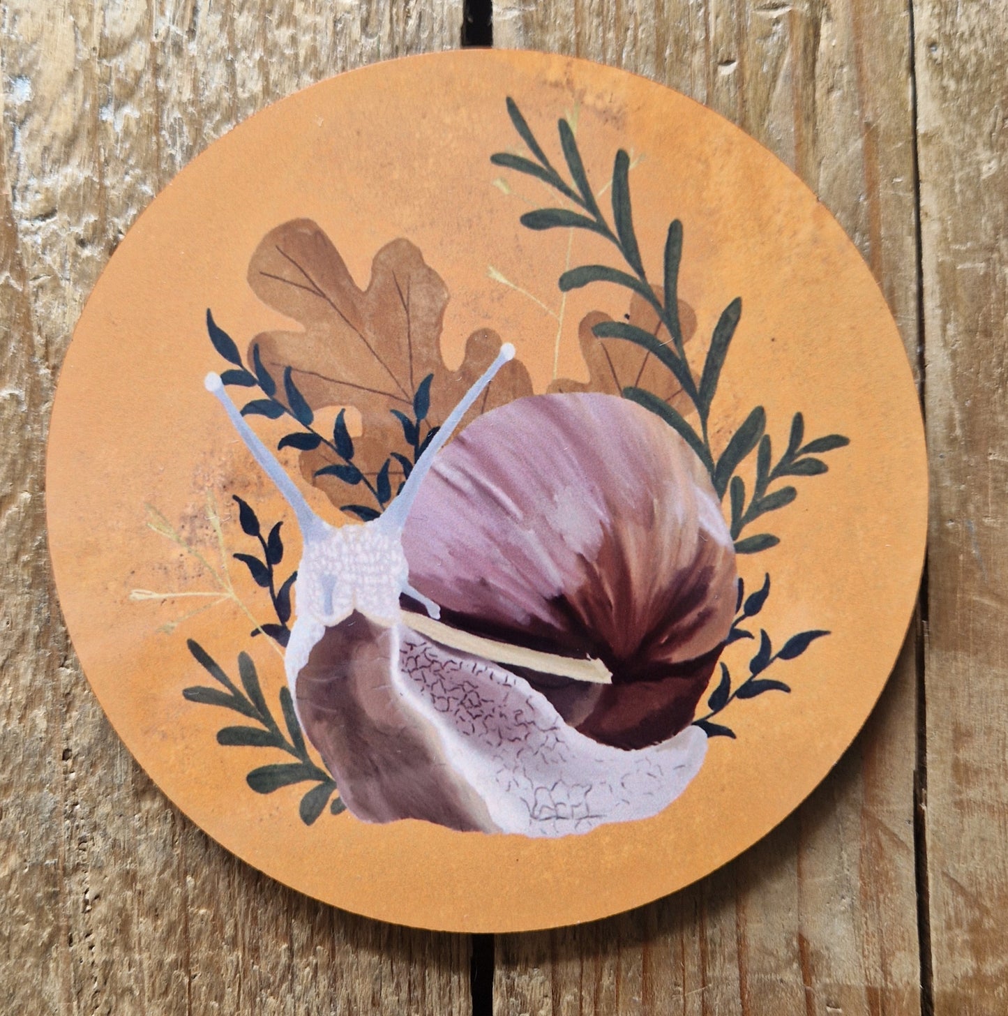 Snail Coaster