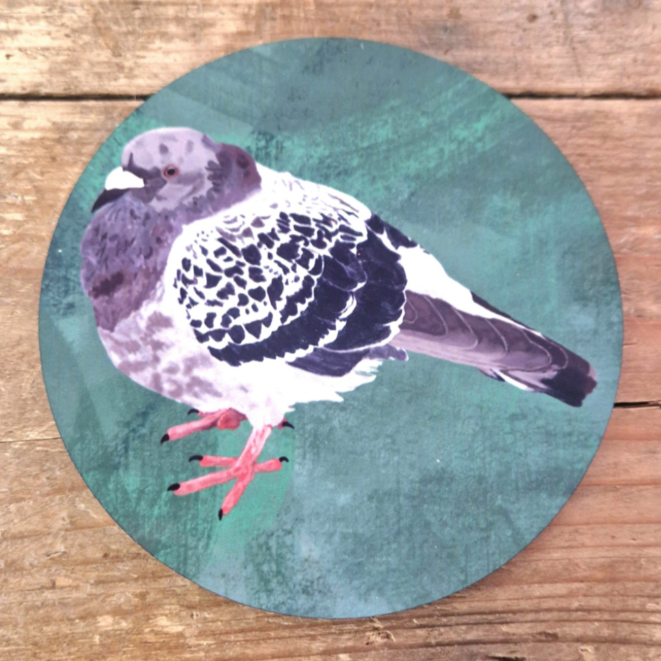 Bert The Chonky Pigeon Coaster