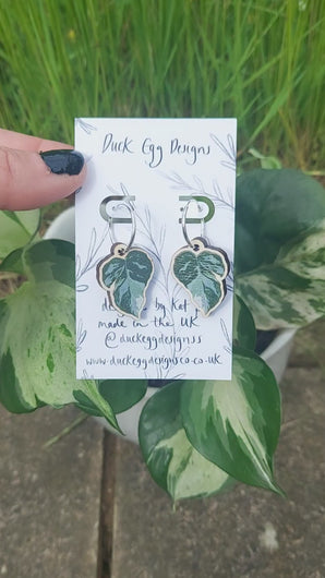 Video of a pair of monstera leaf hoop earrings on a white back gin card, held by a hand with black nail polish in front of a plant with variegated leaves.