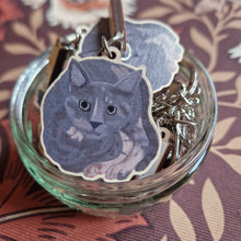Load image into Gallery viewer, A glass jar sits on a retro brown floral patterned background. The jar is full of grey cat keyrings with silver hardware.
