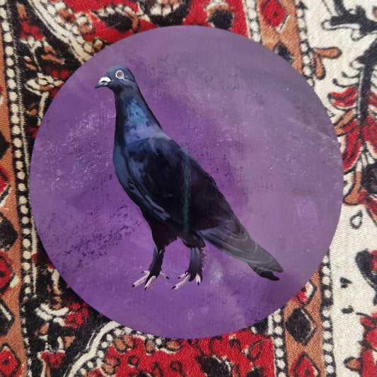 Agatha Goth Pigeon Coaster