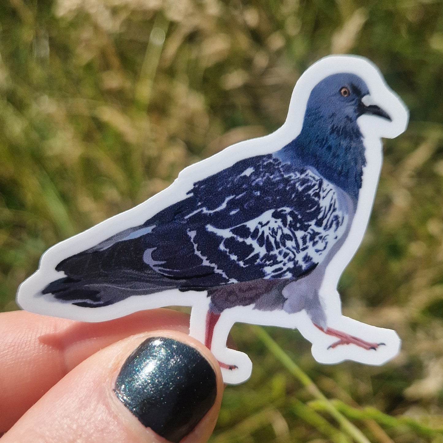Pigeon Waterproof Vinyl Sticker