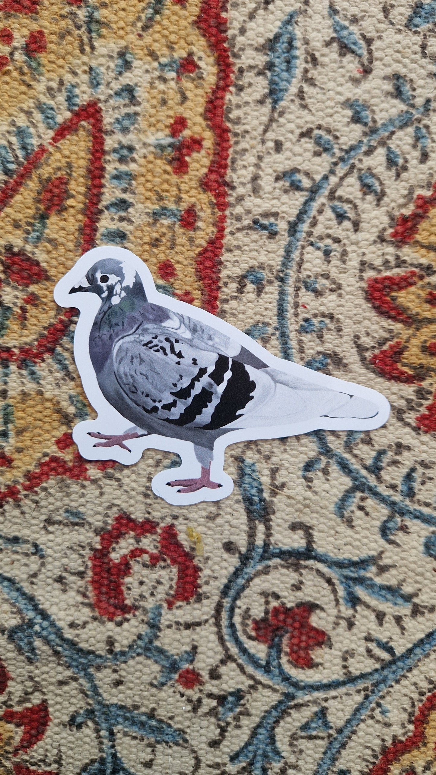 Sidney Pigeon Vinyl Sticker
