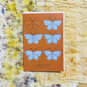 Common Blue Butterfly. A warm orange portrait card with six butterflies in rows of two. The butterflies are in the different stages of drawing showing the illustration going from just an outline to the full piece. At the bottom of the card is the english and latin names of the butterfly. Behind the card are naturally dyed fabrics featuring warm yellow, blue and orange tones. - Duck Egg Designs Co