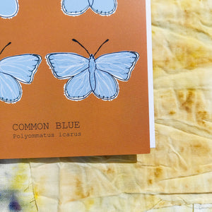 Common Blue Butterfly. A close up of the bottom right of the card featuring the fully drawn illustration and the name of the butterfly in both english and latin. You can see the edge of the white envelope in the card, and behind it is a naturally dyed fabric background. The card is a warm orange colour, with contrasting pale blue butterflies.- Duck Egg Designs Co
